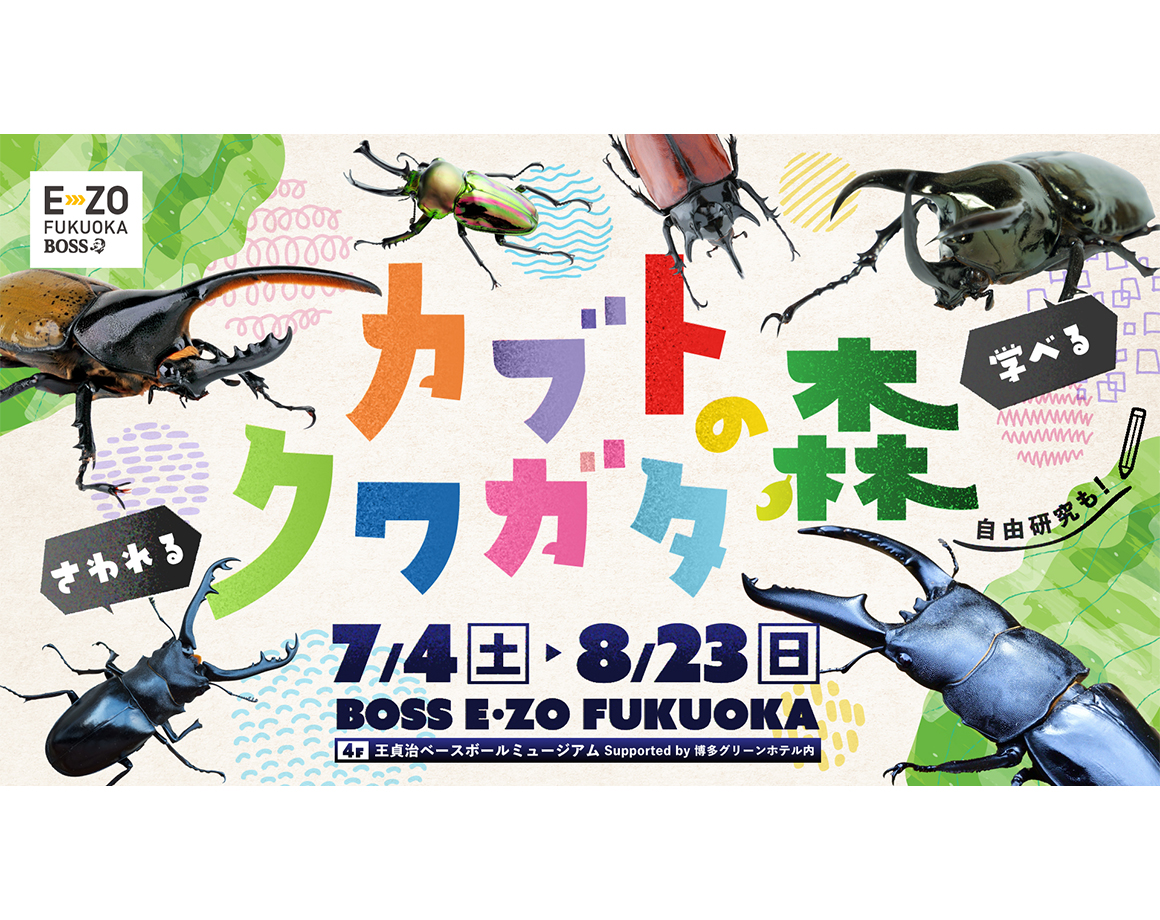 【7/4～】触って学べる「カブト・クワガタの森」がやってくる！