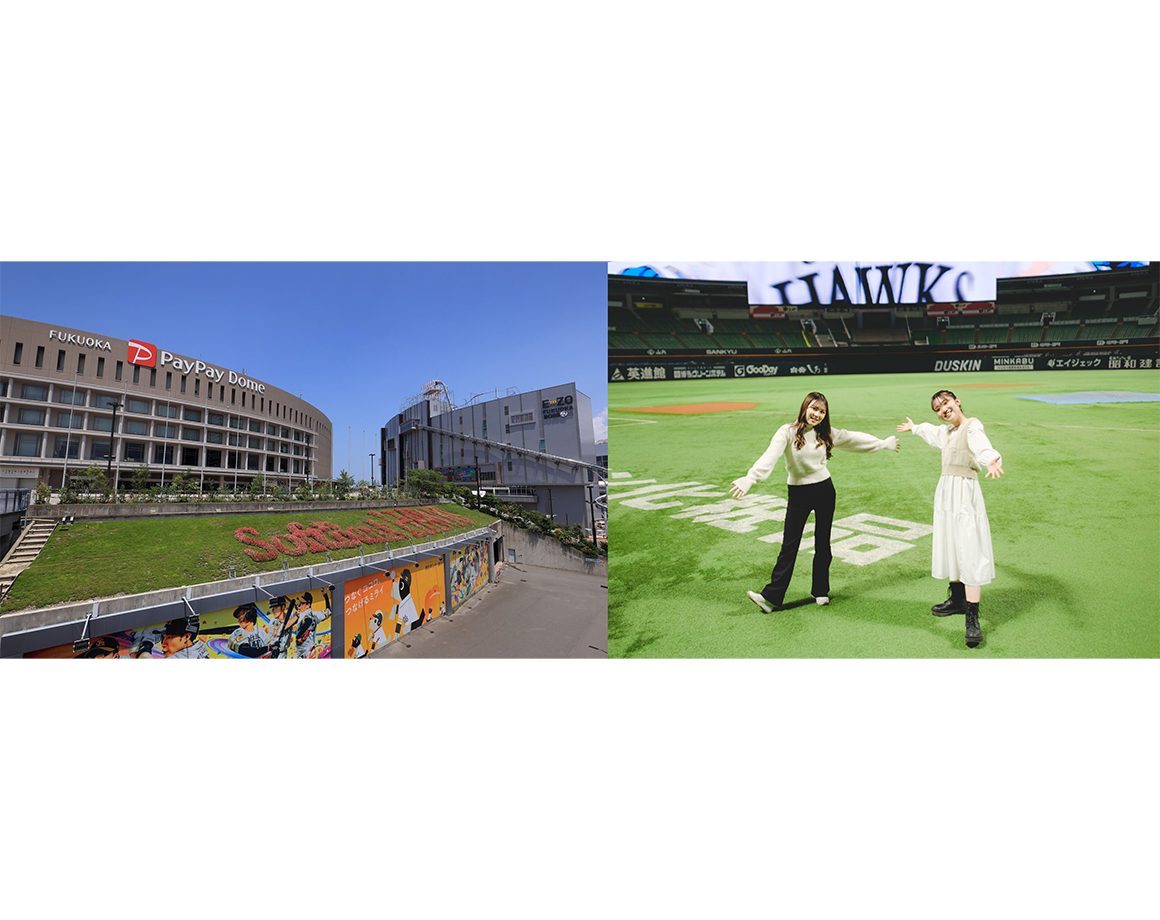 「OH Sadaharu Baseball Museum」提供圓頂參觀套餐！