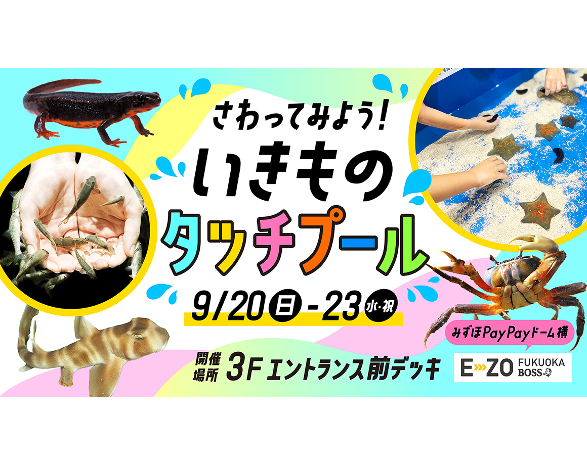 【9/20～23】さわってみよう！！いきものタッチプール