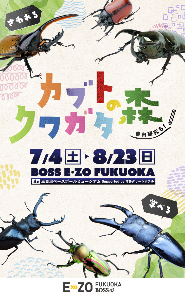 カブト・クワガタの森 2026｜BOSS E・ZO FUKUOKA（ボス イーゾ