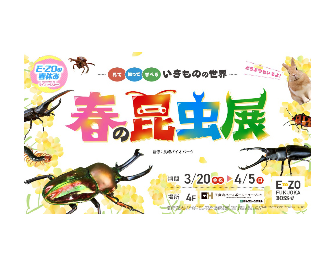 珍しい虫や動物たちとふれおう！「見て知って学べるいきものの世界 春の昆虫展」！（※3/13更新）