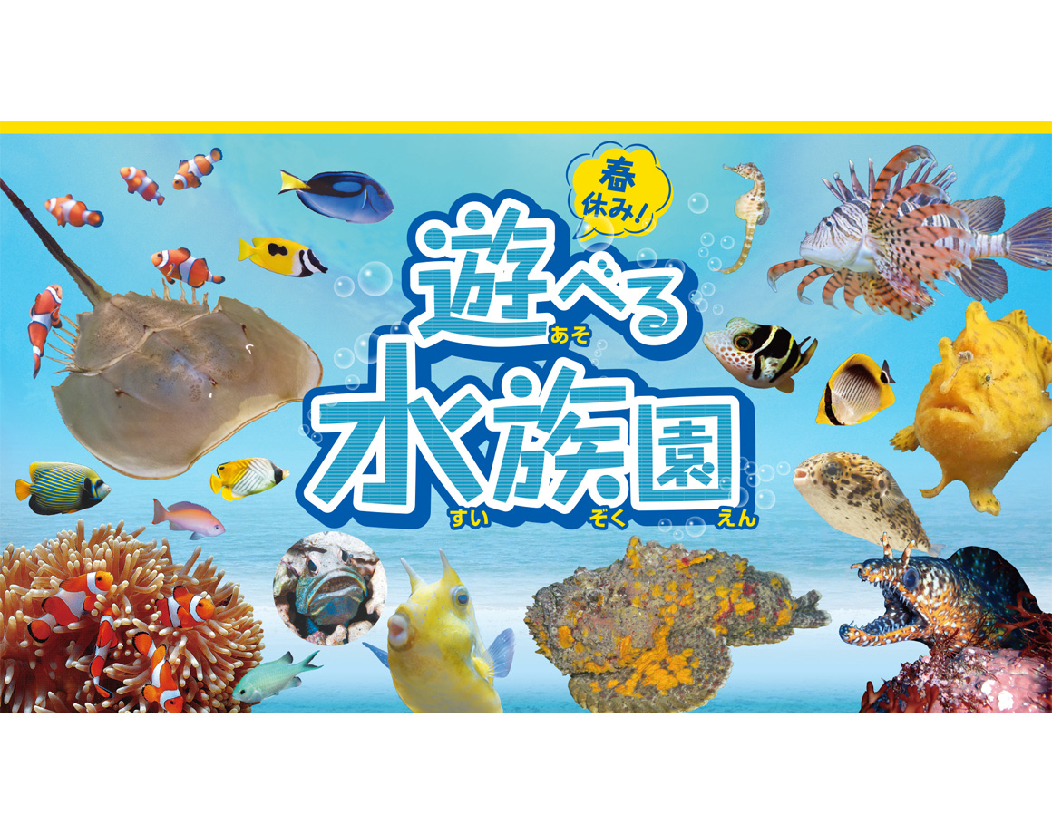 [3/18-4/16] "Spring Break! Fun Aquarium" will be held!