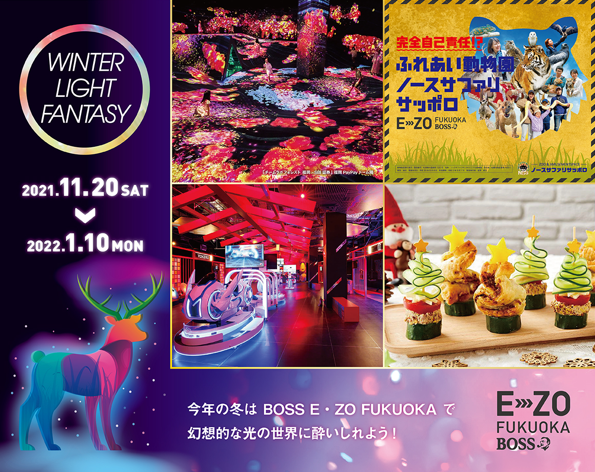 Illumination and animal contact for Christmas! Let's enjoy with E ・ ZO in winter ♪