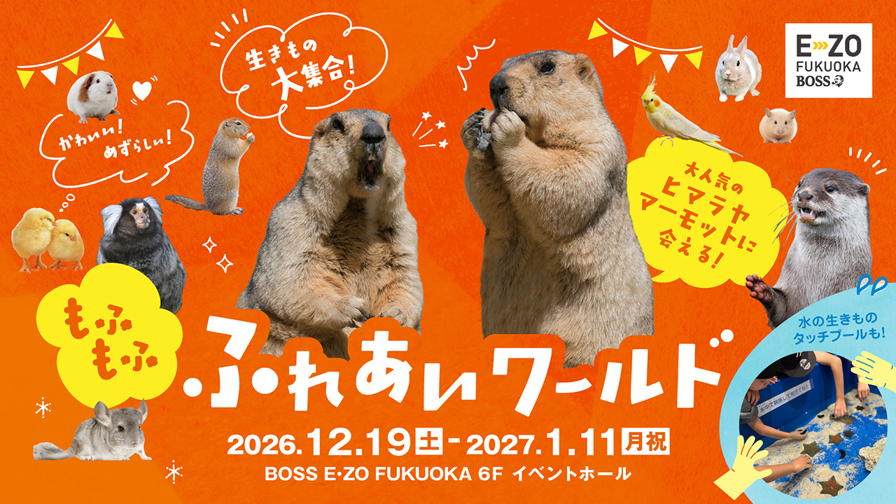 もふもふ ふれあいワールド